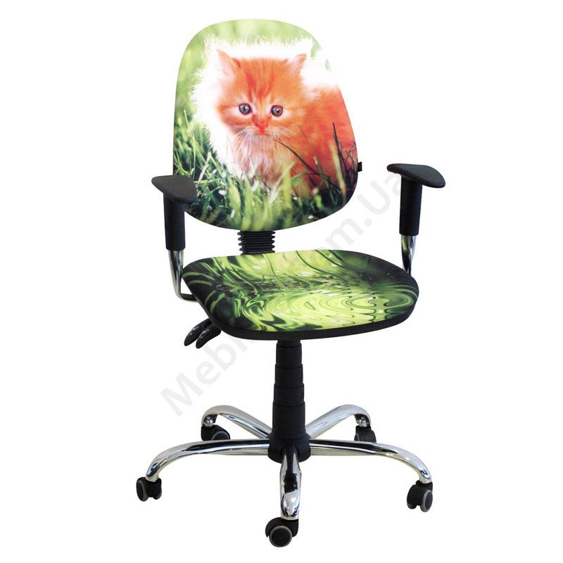 котик в кресле. кошка с котятами. г стерлитамак где продаются детские стульчики. детские деревянные стулья. стул детский котенок.