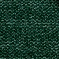 L11-Winter-Moss