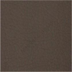 eco_kozha_0124_k1
