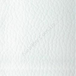 eco_kozha_0920_k1