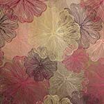 geneva_lilac
