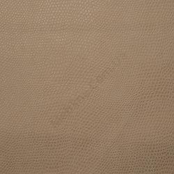 snake_2223