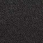 taurus_black