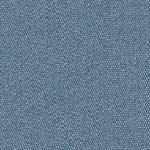 tetra_blue