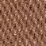 tetra_brown