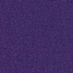 tetra_violet