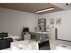 Фото Діловий 