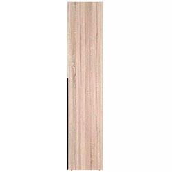 Фото Шафа розпашна комбінована №2 Light Дуб Сонома