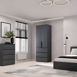 Фото Шафа розпашна №2 Light Графіт