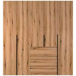 Фото Шафа розпашна комбінована №4 Light Дуб Евок