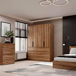 Фото Шафа розпашна комбінована №10 Light Дуб Евок