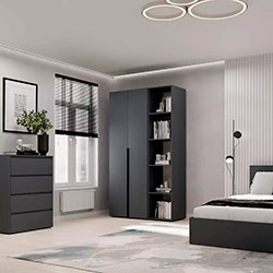 Фото Шафа розпашна комбінована №11 Light Графіт