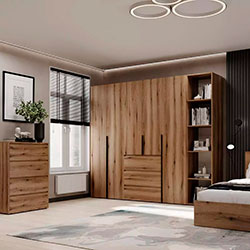 Фото Шафа розпашна комбінована №14 Light Дуб Евок