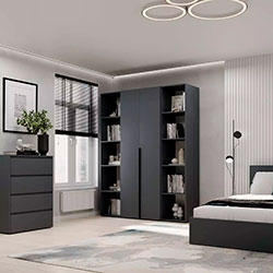 Фото Шафа розпашна комбінована №15 Light Графіт