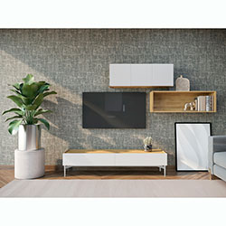 Фото ТВ тумба Intellect TV-02 Дуб Хадсон / Вайт