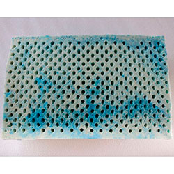 Фото Подушка Latex Gel Ergo