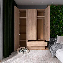 Фото Шафа ШЛ-3 Лайт Дуб Сонома