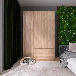 Фото Шафа ШЛ-3 Лайт Дуб Сонома