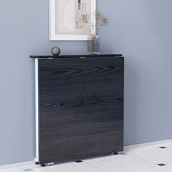 Фото Стіл-книга трансформер Оріон 1 750x810x730