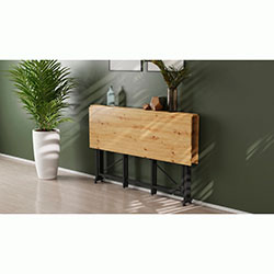 Фото Стіл-книга трансформер Оріон 3 750x1150x880