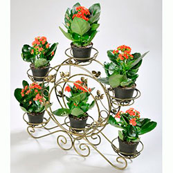 Підставка для квітів Фіальниця 6