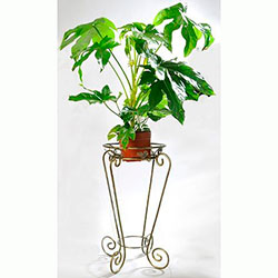 Фото Підставка для квітів Стійка 1 велика