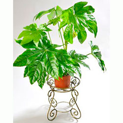 Фото Підставка для квітів Стійка 1 мала