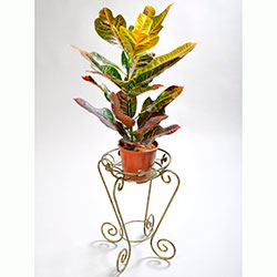 Фото Підставка для квітів Стійка 1 середня
