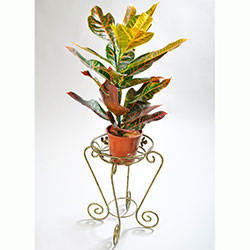 Фото Підставка для квітів Стійка 1 середня