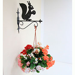 Фото Підставка (кріплення) для підвісної квітки Білка 2