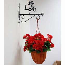 Фото Гачок для підвісної квітки Love квіточка