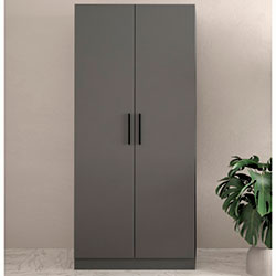 Фото Шафа №6 Моно