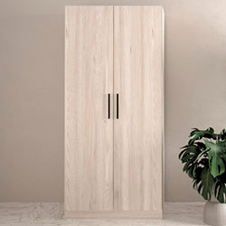 Фото Шафа №6 Моно