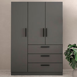 Фото Шафа №5 Моно