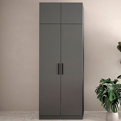 Фото Шафа №6 Моно