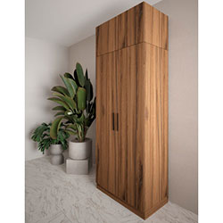 Фото Шафа №6 Моно