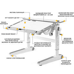 Фото Дитячий стіл Ergowood L Multicolor W (BD-810 W/MC)
