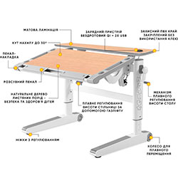 Фото Дитячий стіл Ergowood M Multicolor MG Energy (BD-800 MG/MC Energy)