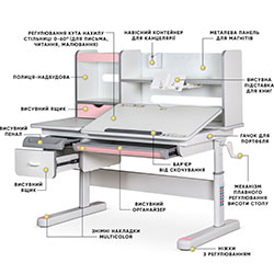 Фото Дитячий стіл Florida Multicolor PN (Evo-52 WG + PN Multicolor)