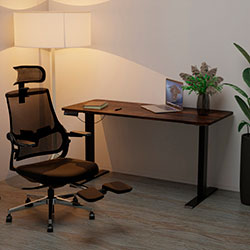 Фото Стіл PowerDesk Duo Antique (EVO-242 Duo Antique /B)