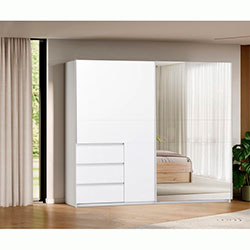 Фото Шафа-купе Vilma / Вільма 2,5м Білий + Дзеркало WL-25-WB