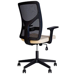 Фото Крісло Blitz R Black SL PL70