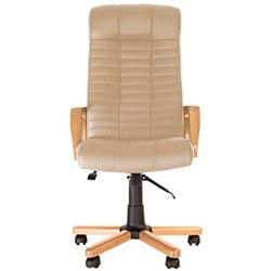 Фото Крісло Atlant Extra Anyfix EX1