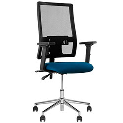  ii r net freelock+ chr64 