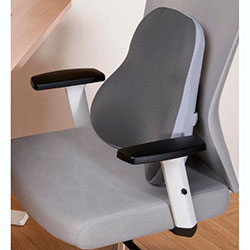 Фото Ергономічна подушка для попереку LP600G Gray