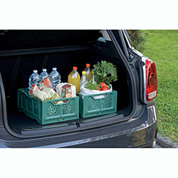 Фото Ящик для зберігання складаний Opla Зелений