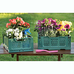 Фото Ящик для зберігання складаний Opla Зелений