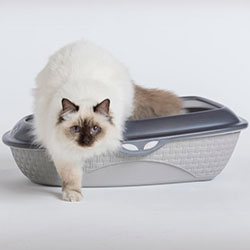 Фото Пісочниця-туалет для котів пластикова Sabbia Сірий