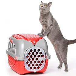 Фото Переноска для тварин пластикова Tour Бордовий