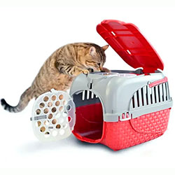 Фото Переноска для тварин пластикова Tour Бордовий